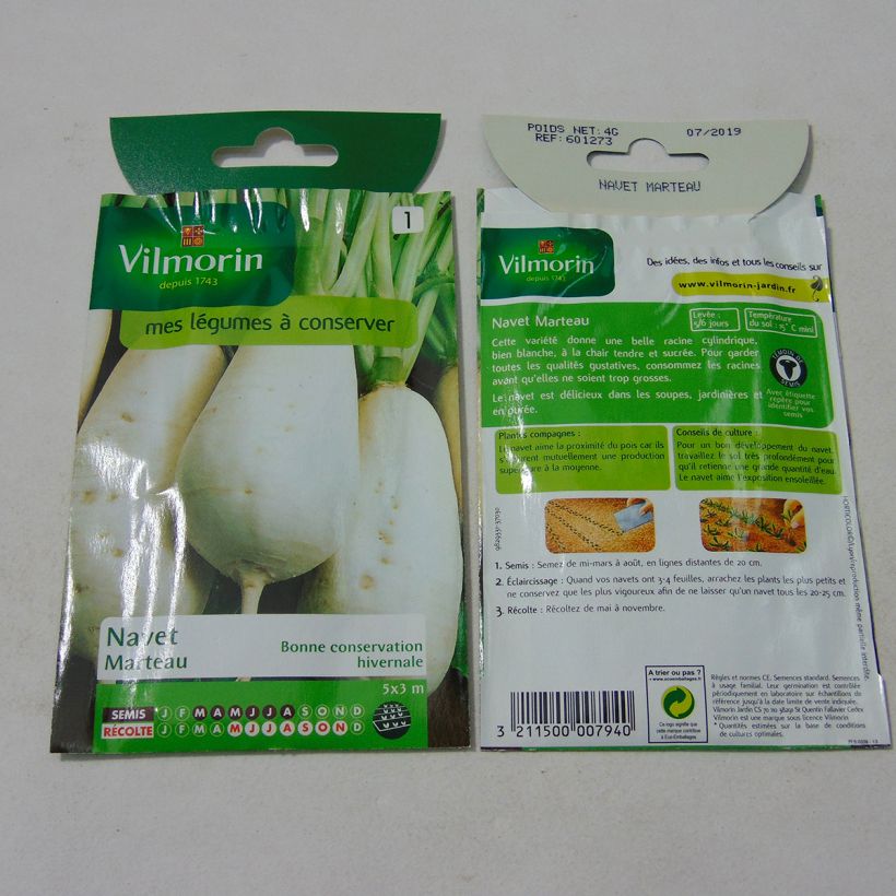 Example of Turnip Des Vertus Marteau - Vilmorin Seeds per pack of 1600 seeds (4g) specimen as delivered