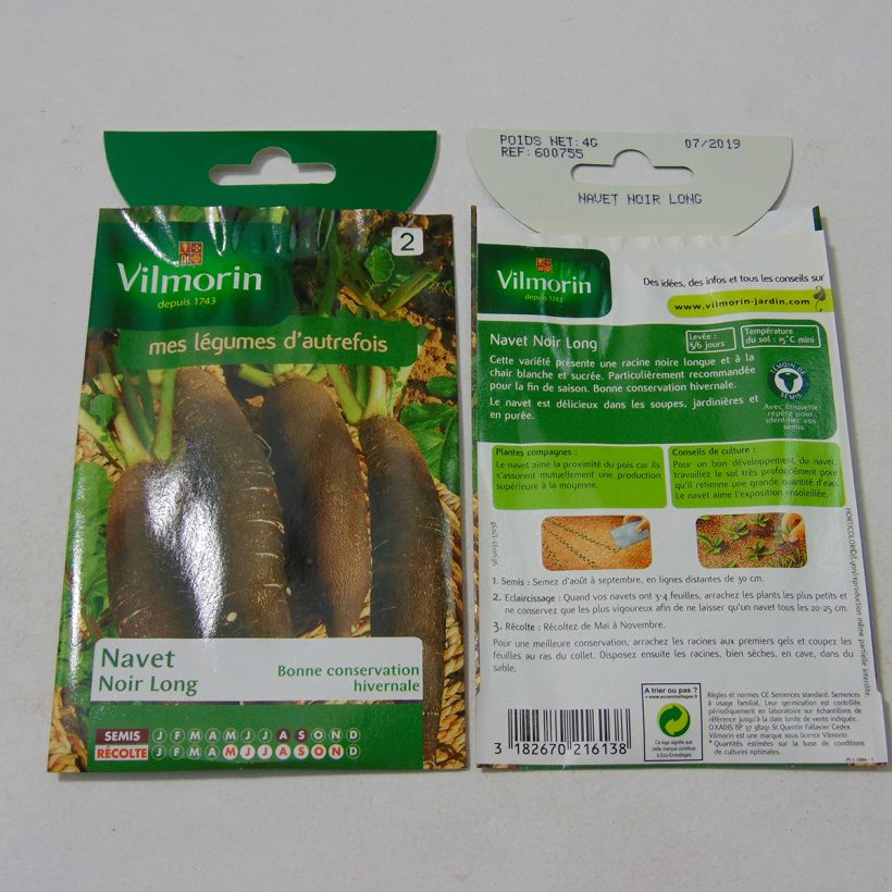 Example of Turnip Long Black - Vilmorin Seeds per pack of 1600 seeds (4g) specimen as delivered