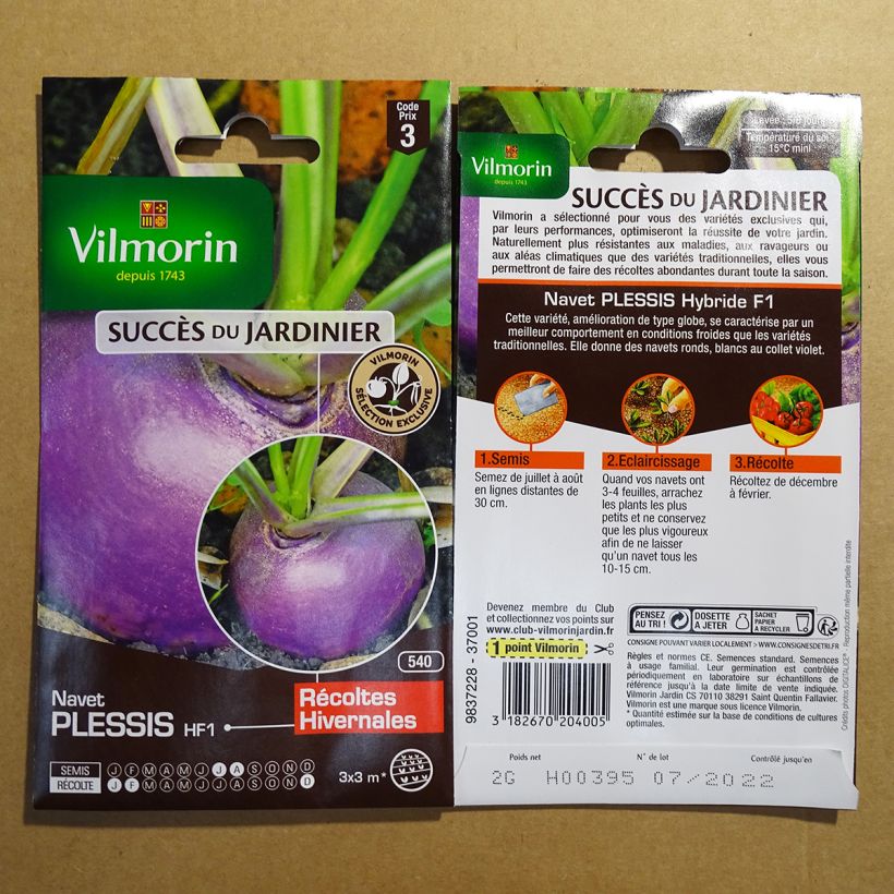 Example of Turnip Plessis F1 - Vilmorin Seeds per pack of 800 seeds (2g) specimen as delivered