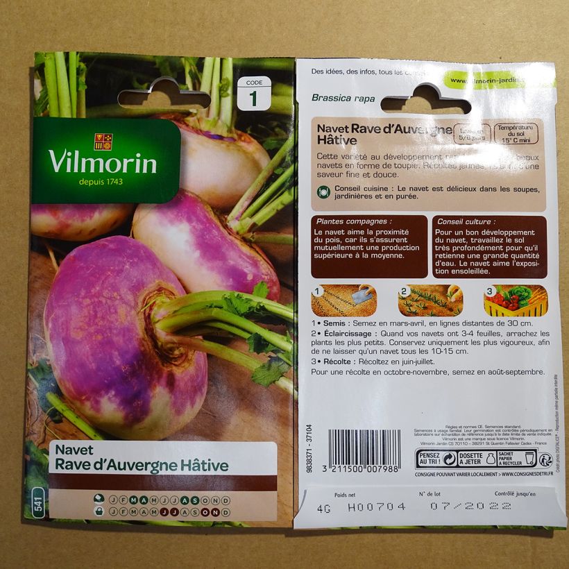 Example of Turnip Early Auvergne - Vilmorin Seeds per pack of 1600 seeds (4g) specimen as delivered