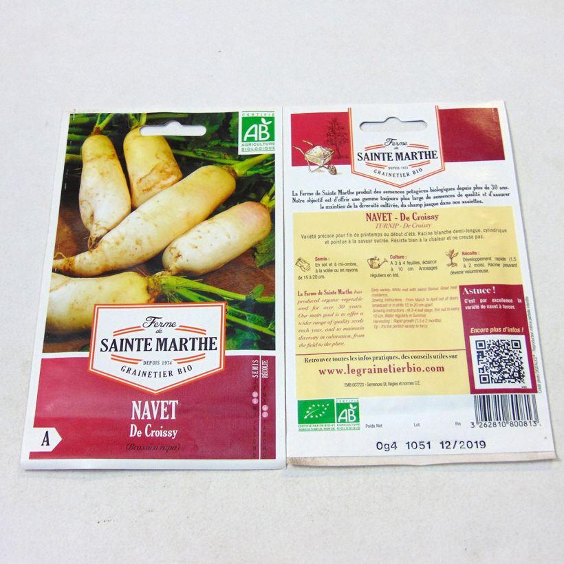Example of Turnip De Croissy - Ferme de Sainte Marthe Seeds per pack of 150 seeds specimen as delivered