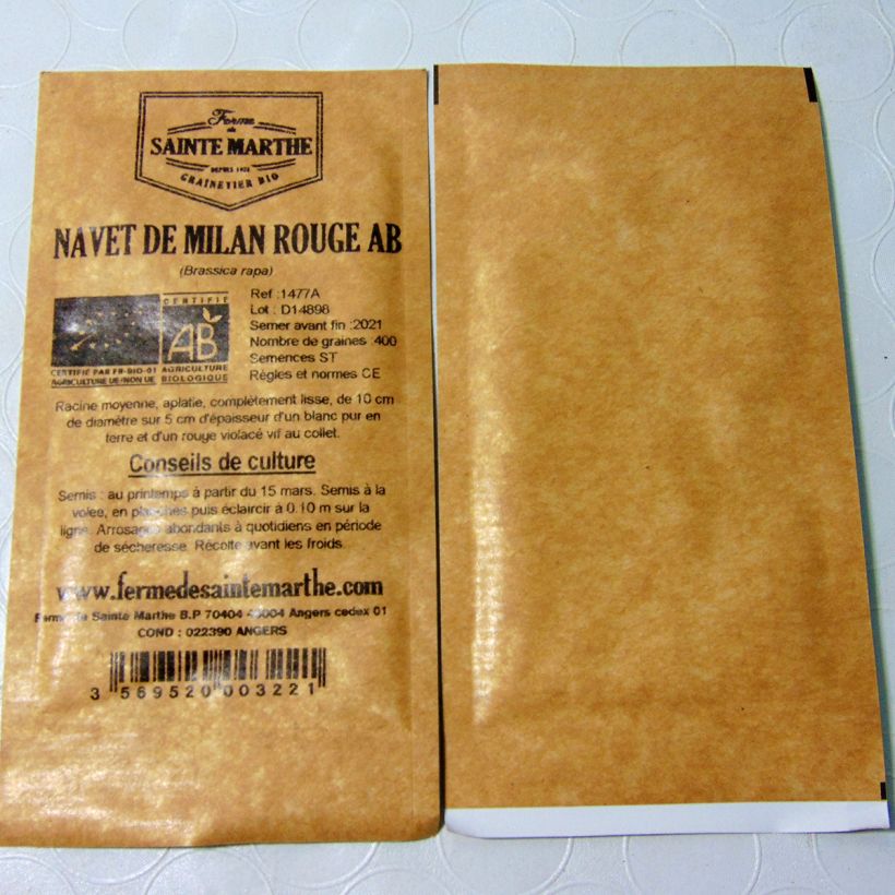 Example of Turnip Milan Rouge - Brassica rapa per pack of 200 seeds specimen as delivered