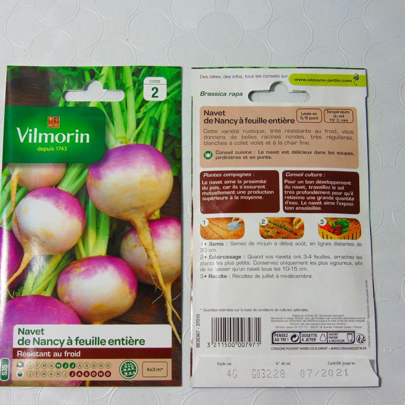 Example of Turnip De Nancy - Vilmorin Seeds specimen as delivered