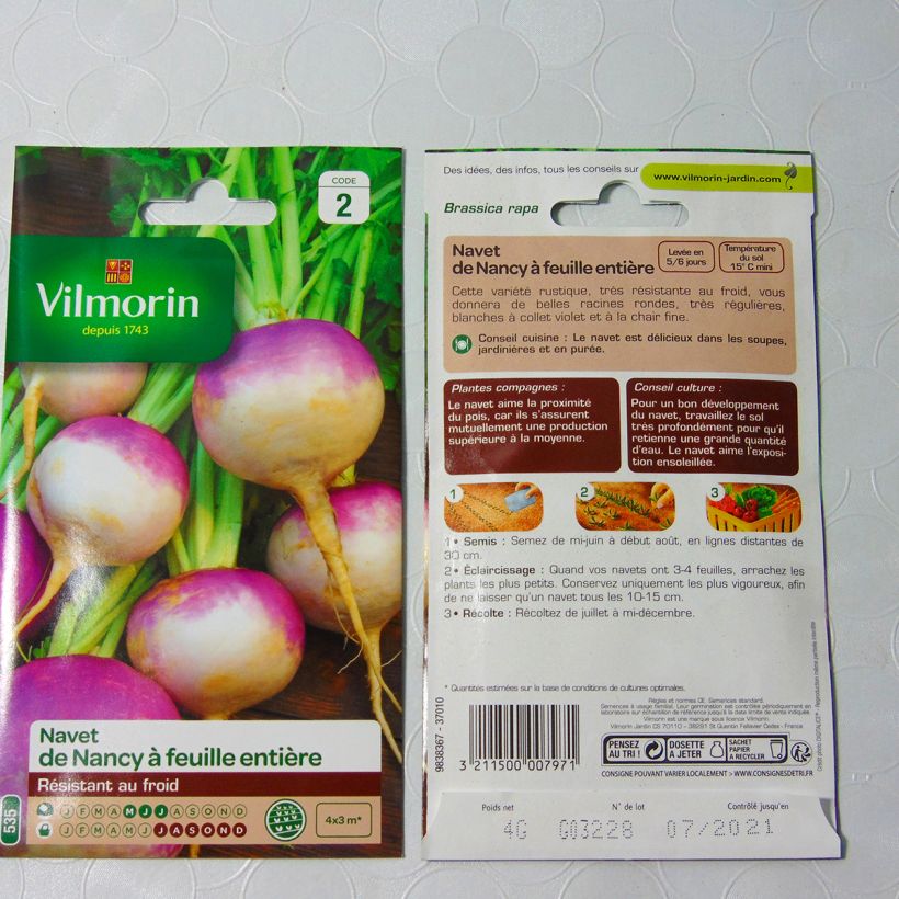 Example of Turnip De Nancy - Vilmorin Seeds per pack of 1600 seeds (4g) specimen as delivered