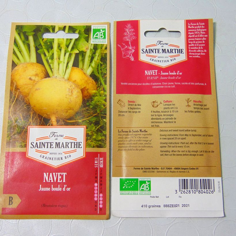 Example of Turnip Golden Ball - Ferme de Sainte Marthe Seeds per pack of 250 seeds specimen as delivered