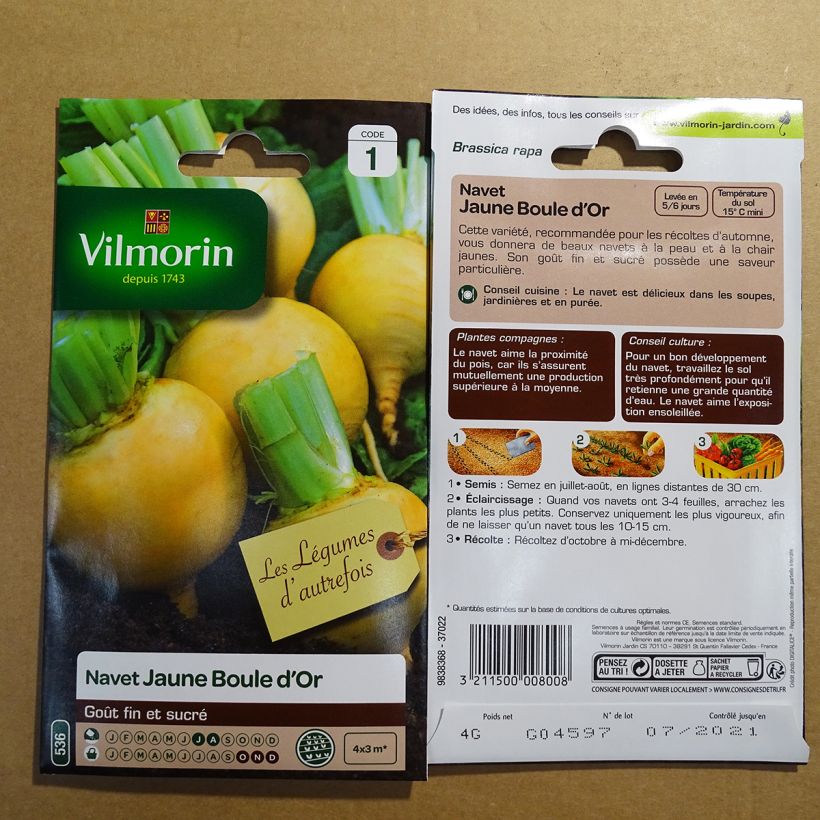 Example of Turnip Golden Ball - Vilmorin Seeds per pack of 1600 seeds (4g) specimen as delivered