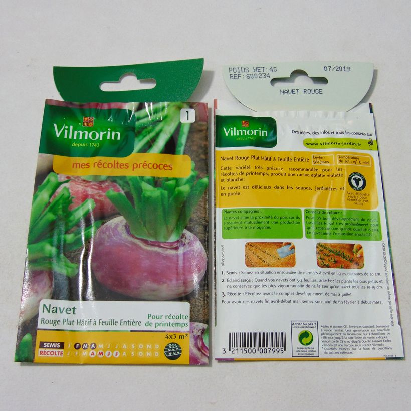 Example of Turnip Early Flat Red - Vilmorin Seeds per pack of 1600 seeds (4g) specimen as delivered