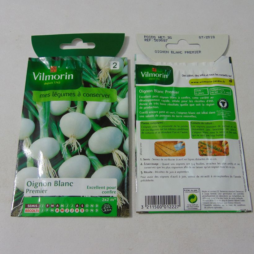Example of White Onion Premier - Vilmorin Seeds per pack of 750 seeds (3g) specimen as delivered