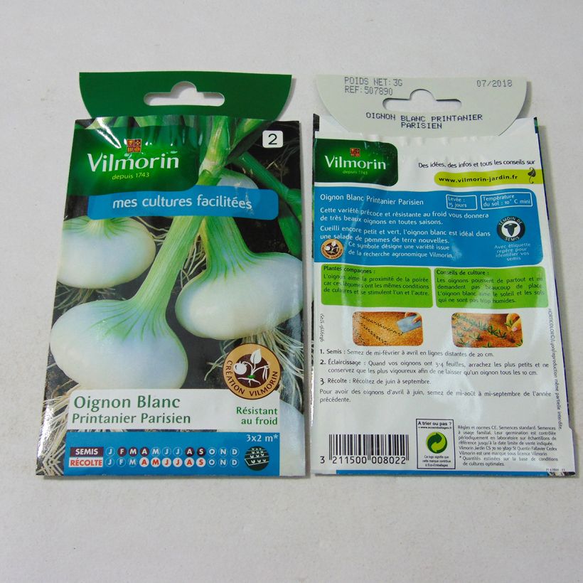 Example of White Onion Printanier Parisien - Vilmorin Seeds per pack of 750 seeds (3g) specimen as delivered
