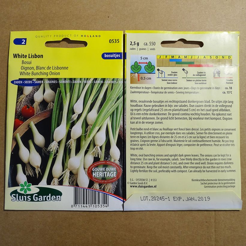 Example of Onion White Lisbon specimen as delivered