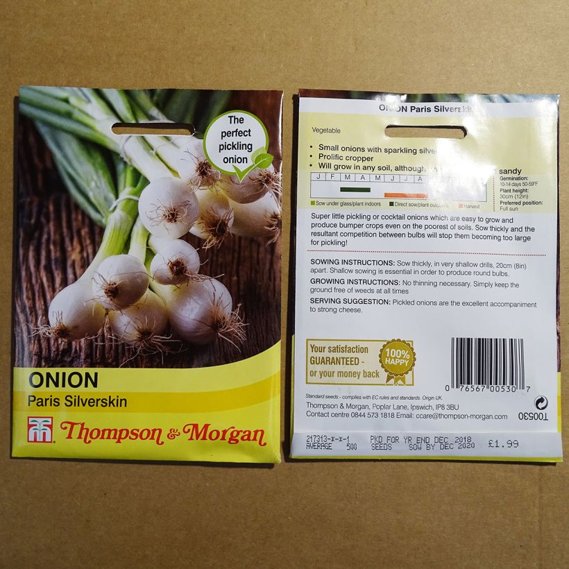 Example of Onion Paris Silverskin - Allium cepa seeds per pack of 500 seeds specimen as delivered