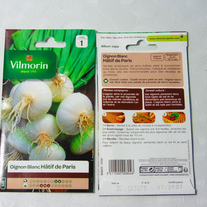 Example of White Onion Blanc de Paris - Vilmorin Seeds per pack of 750 seeds (3g) specimen as delivered