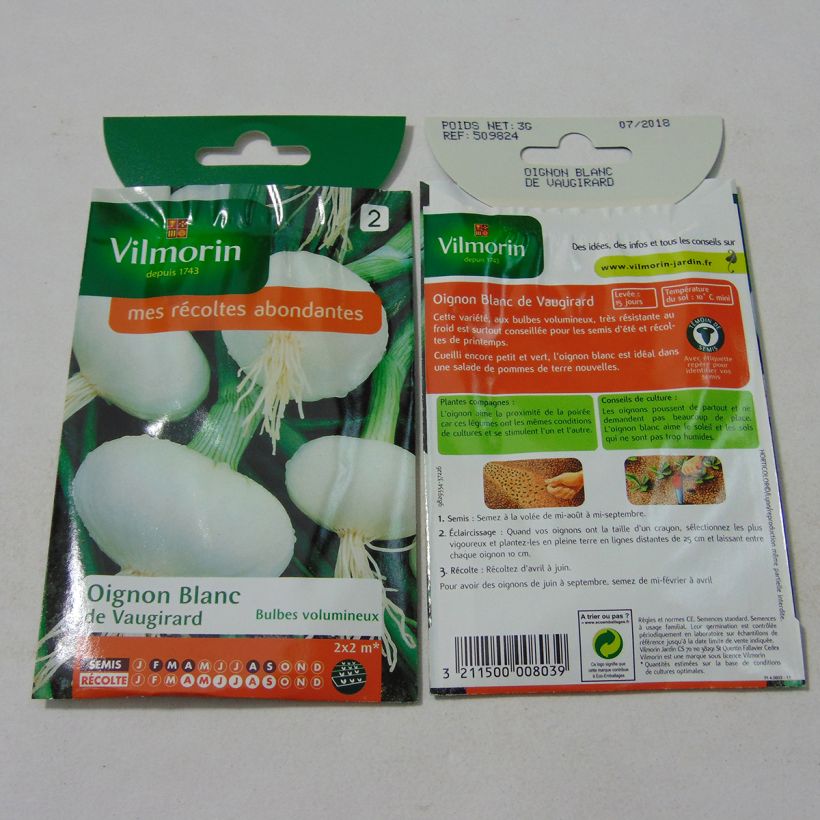 Example of Vaugirard Very Early White Onion - Vilmorin per pack of 750 seeds (3g) specimen as delivered