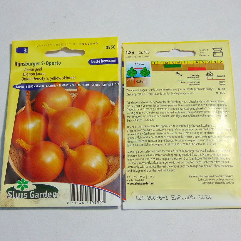 Example of Onion Rijnsburger 5 Oporto specimen as delivered