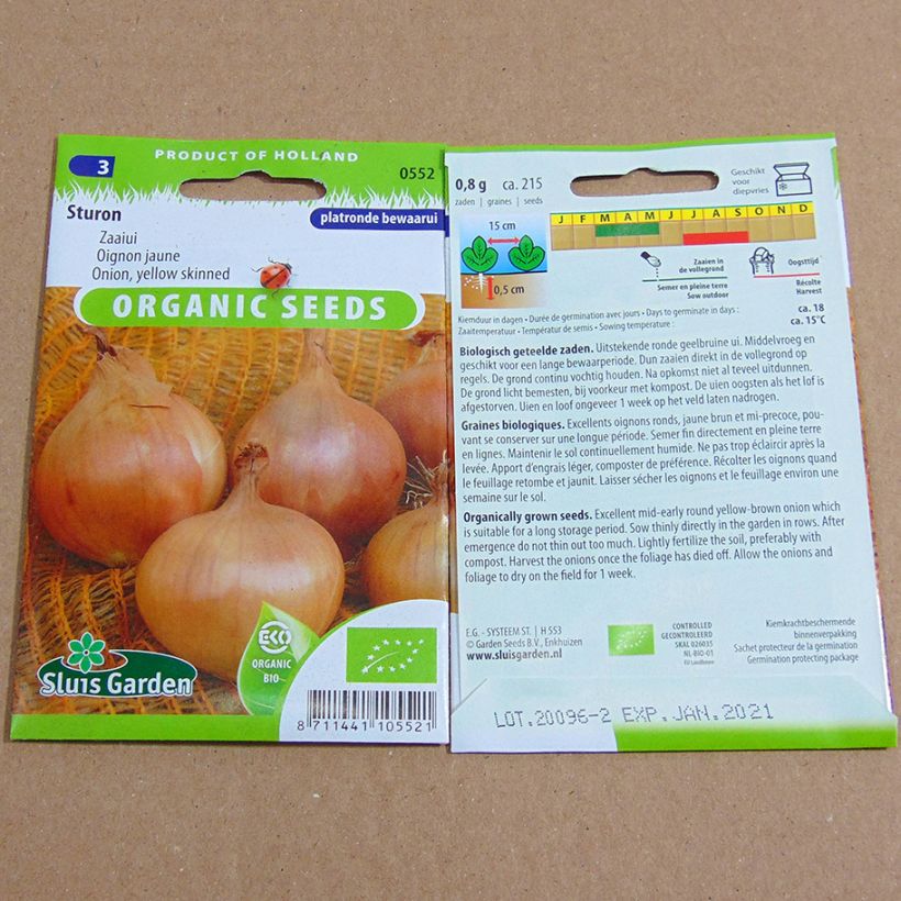 Example of Onion Sturon per pack of 215 seeds specimen as delivered