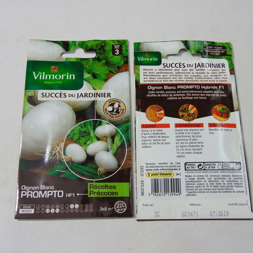 Example of White Onion Prompto F1 (Vilmorin seeds Creation) -  Allium cepa per pack of 750 seeds (3g) specimen as delivered