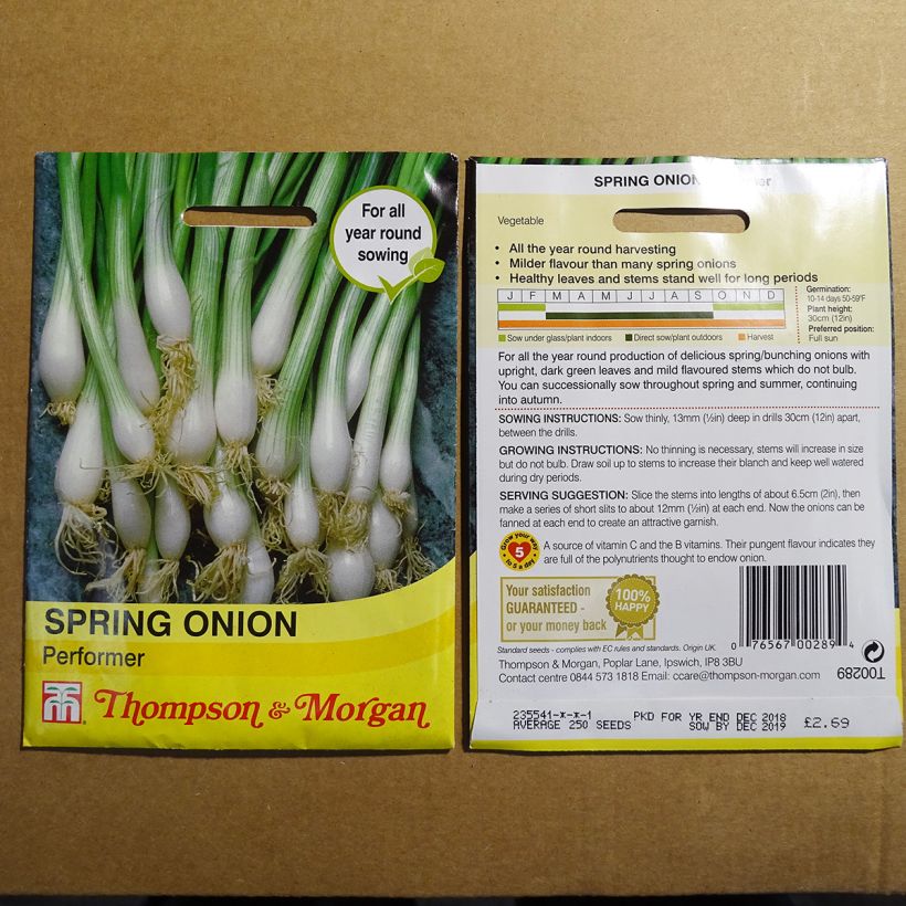 Example of Spring Onion Performer - Allium fistulosum per pack of 300 seeds specimen as delivered