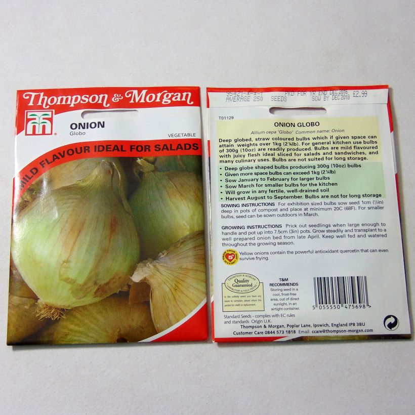 Example of Onion Yellow Globe - Allium cepa seeds per pack of 250 seeds specimen as delivered