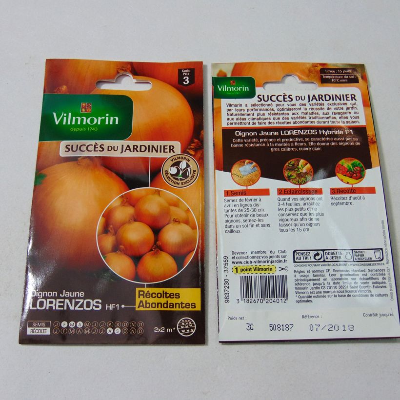 Example of Yellow Onion Lorenzos - Vilmorin seeds - Allium cepa per pack of 750 seeds (3g) specimen as delivered