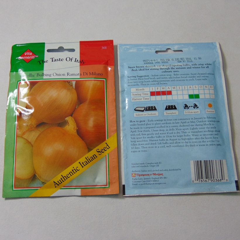 Example of Ramata di Milano Yellow Onion - Allium cepa per pack of 1400 seeds specimen as delivered
