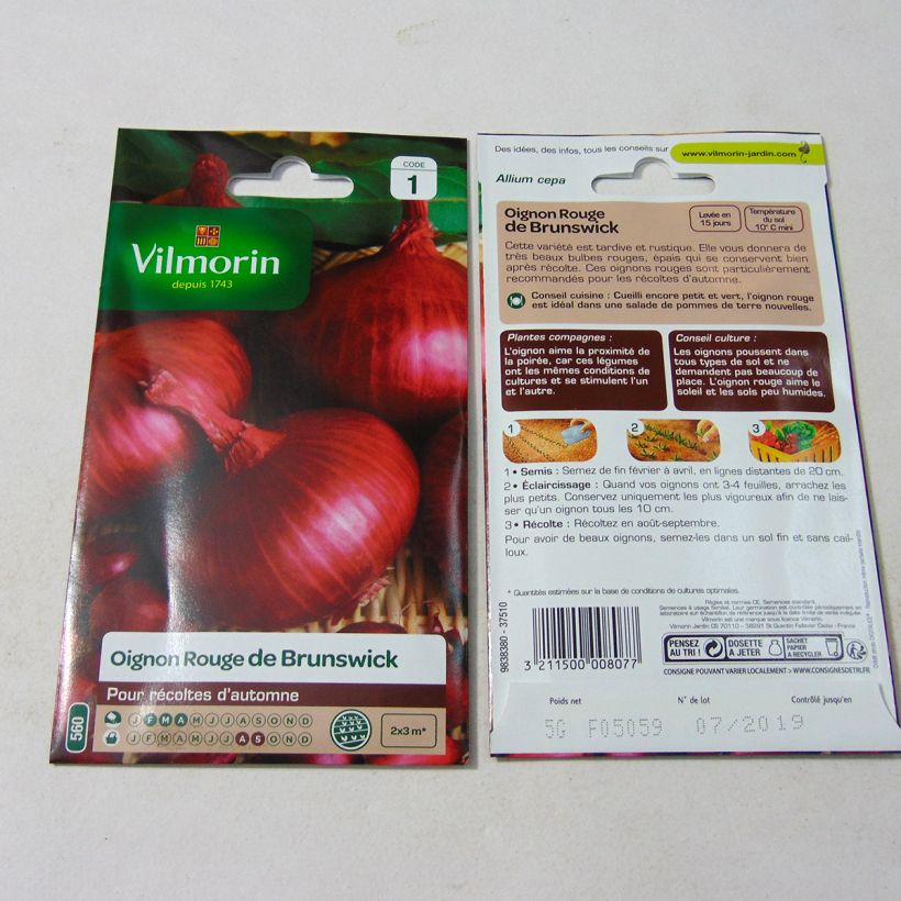 Example of Onion Red Brunswick - Vilmorin Seeds per pack of 1250 seeds (5g) specimen as delivered