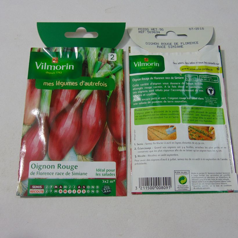 Example of Onion Long Red Florence Simiane - Vilmorin Seeds per pack of 1250 seeds (5g) specimen as delivered