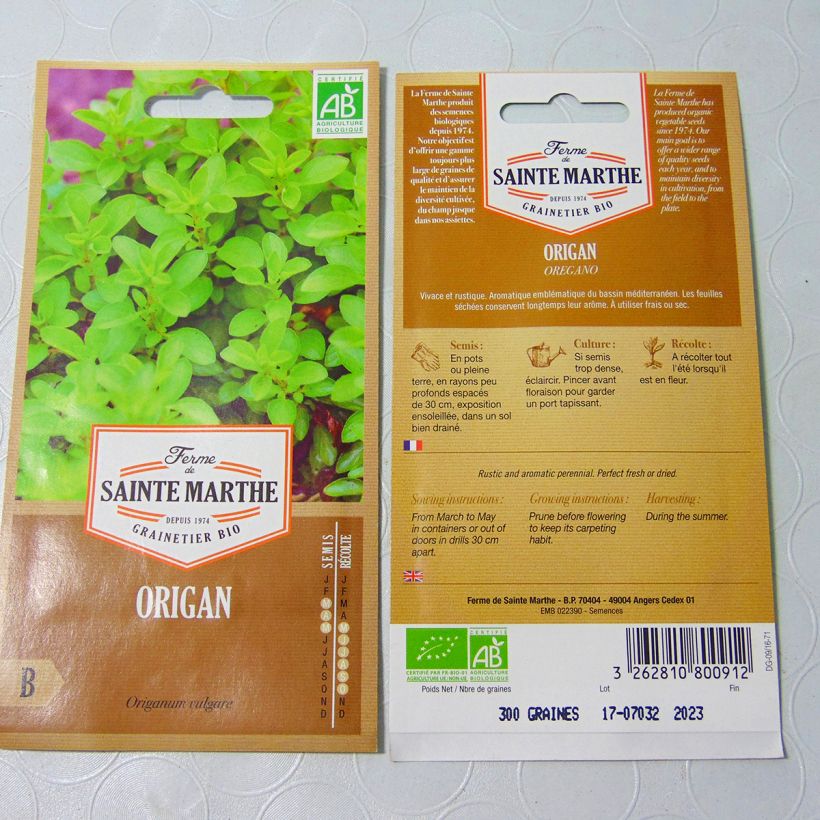 Example of Oregano - Perennial Marjoram - Ferme de Sainte Marthe seeds per pack of 1000 seeds (0,15g) specimen as delivered