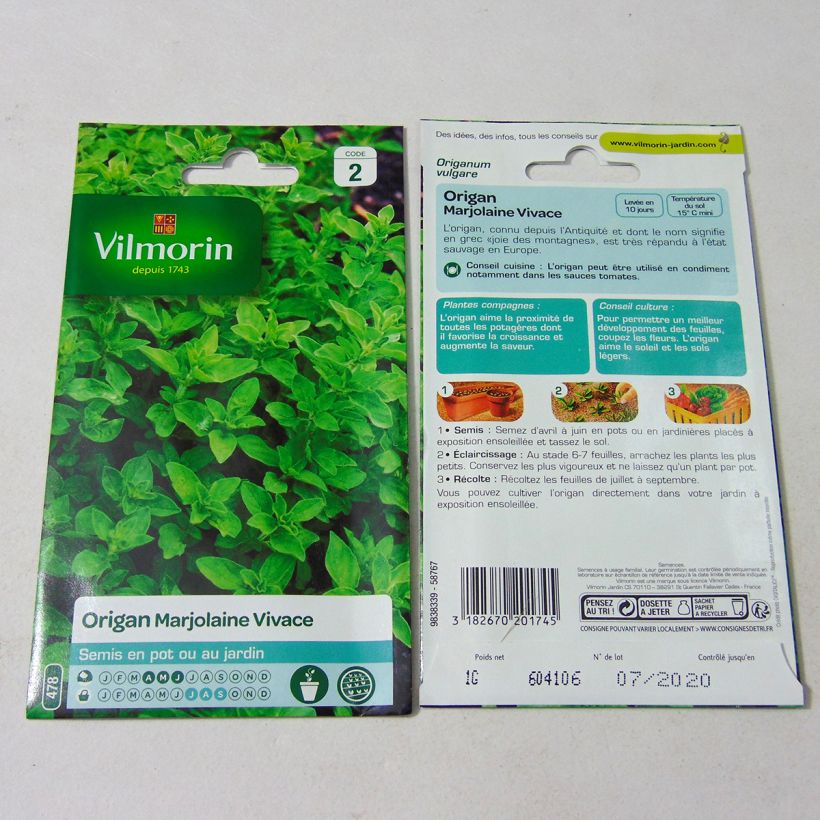 Example of Oregano - Perennial Marjoram - Vilmorin seeds per pack of 12000 seeds (1g) specimen as delivered