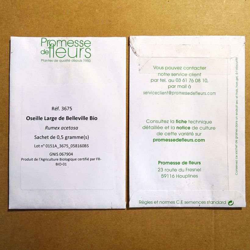 Example of Organic Belleville Broadleaf Sorrel - Rumex acetosa per pack of 500 seeds (0.5g) specimen as delivered