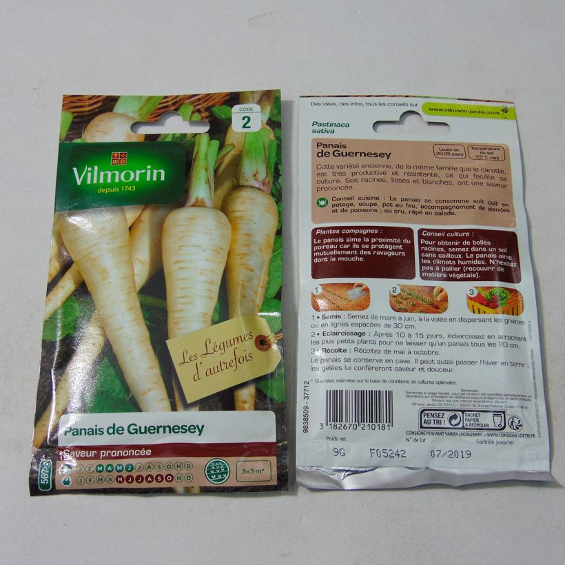 Example of Parsnip Half Long Guernsey - Vilmorin Seeds per pack of 1800 seeds (9g) specimen as delivered