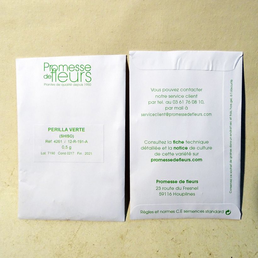 Example of Perilla frutescens vert - Shiso per pack of 350 seeds (0,5g) specimen as delivered