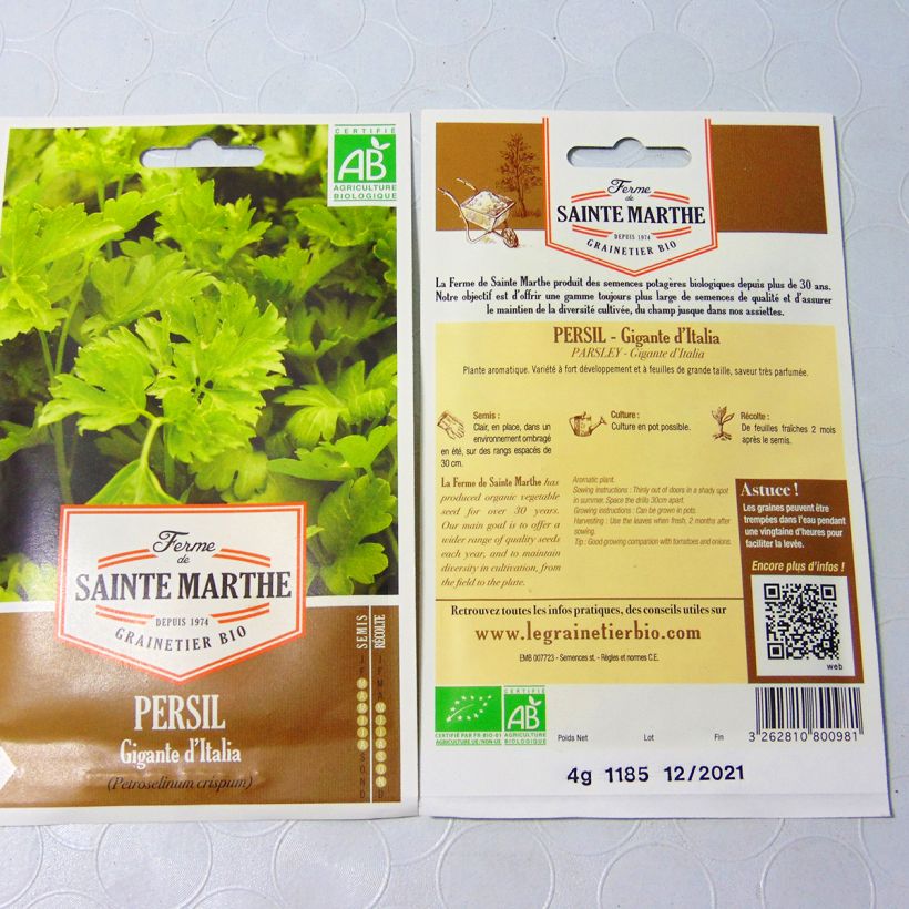 Example of Parsley Giant of Italy - Ferme de Sainte Marthe Seeds per pack of 1700 seeds (4g) specimen as delivered