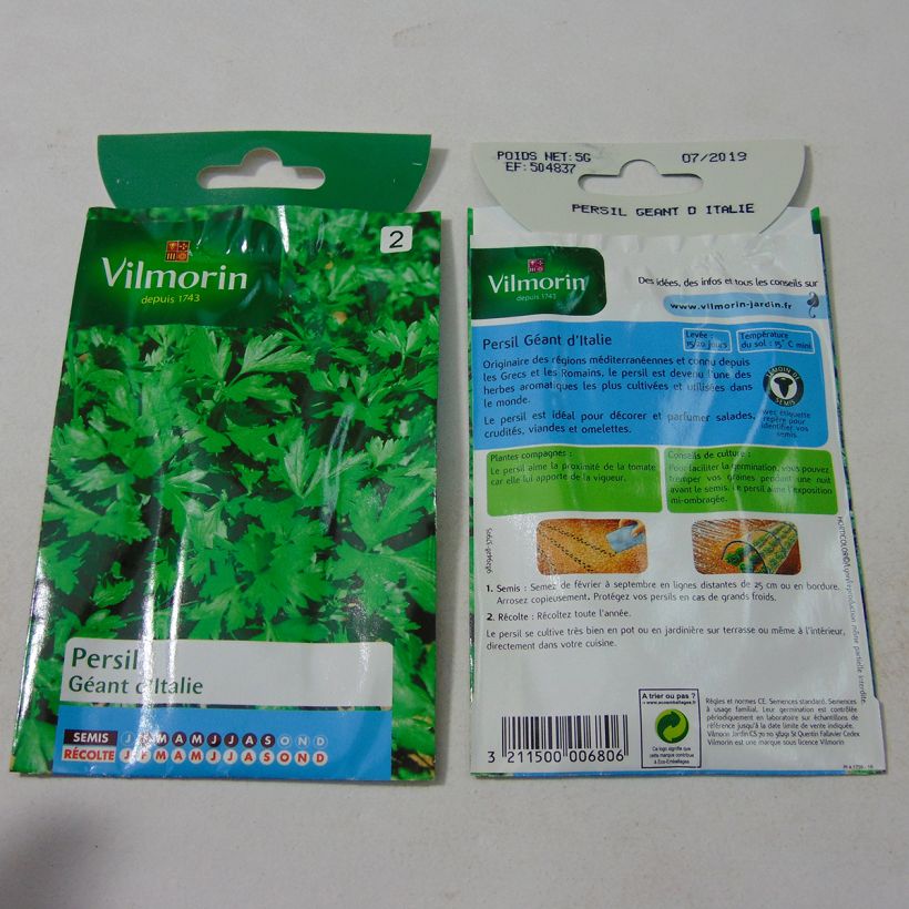 Example of Parsley Giant of Italy - Vilmorin Seeds per pack of 3000 seeds (5g) specimen as delivered
