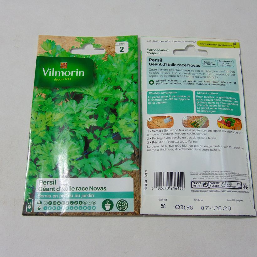 Example of Parsley Giant of Italy Novas - Vilmorin Seeds per pack of 3000 seeds (5g) specimen as delivered