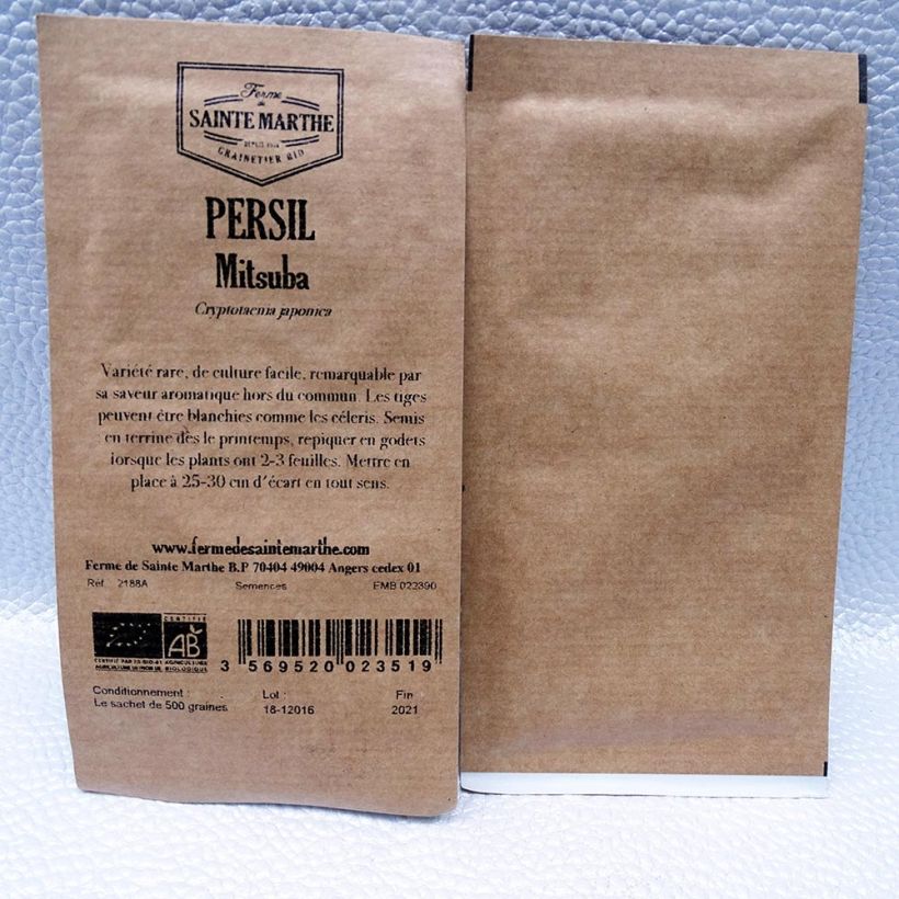 Example of Mitsuba Parsley - Ferme de Sainte Marthe Seeds per pack of 500 seeds specimen as delivered