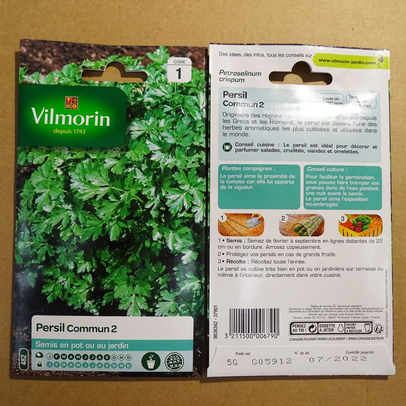 Example of Parsley Italian Flat-Leaf 2 - Vilmorin Seeds per pack of 3000 seeds (5g) specimen as delivered