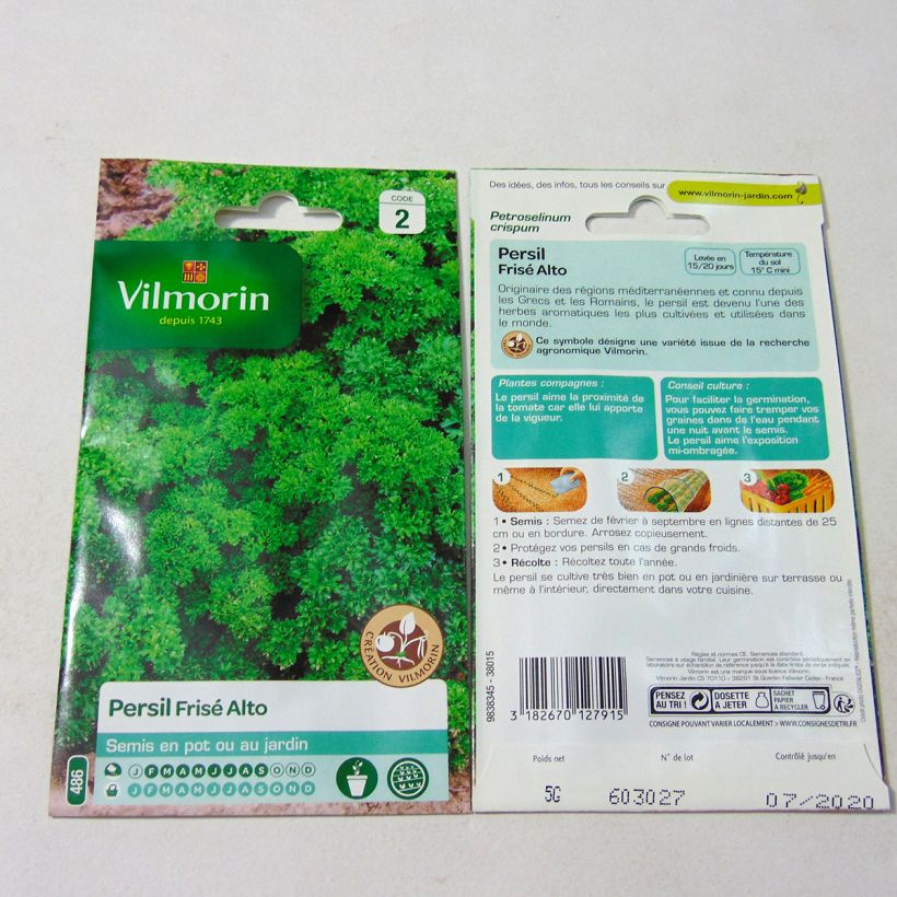 Example of Curly Parsley Alto - Vilmorin Seeds per pack of 3000 seeds (5g) specimen as delivered