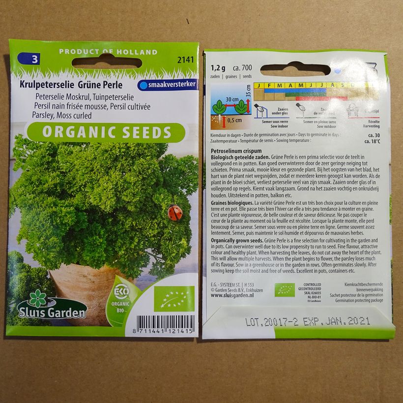 Example of Curly Parsley Grüne Perle per pack of 1200 seeds (2g) specimen as delivered
