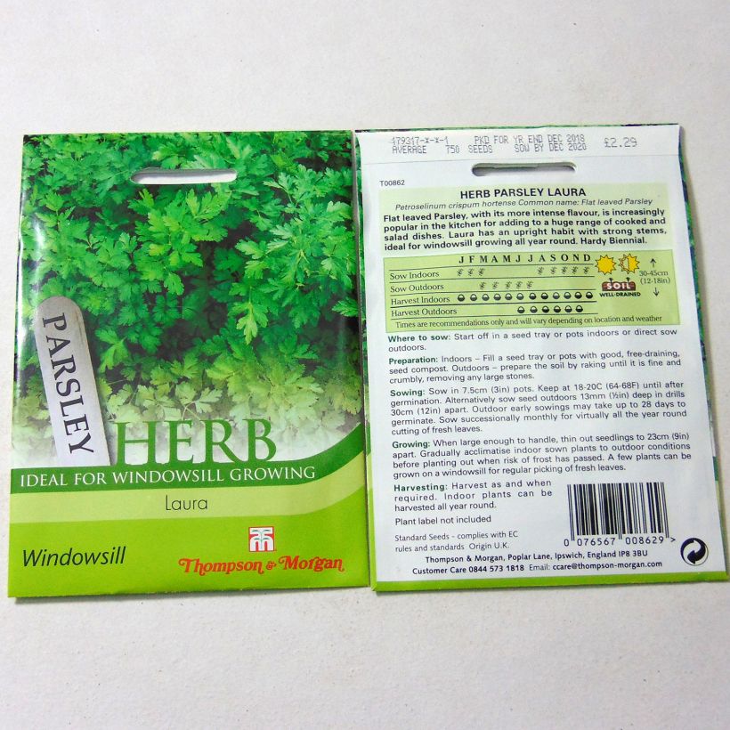 Example of Laura Flat-leaf Parsley per pack of 750 seeds specimen as delivered