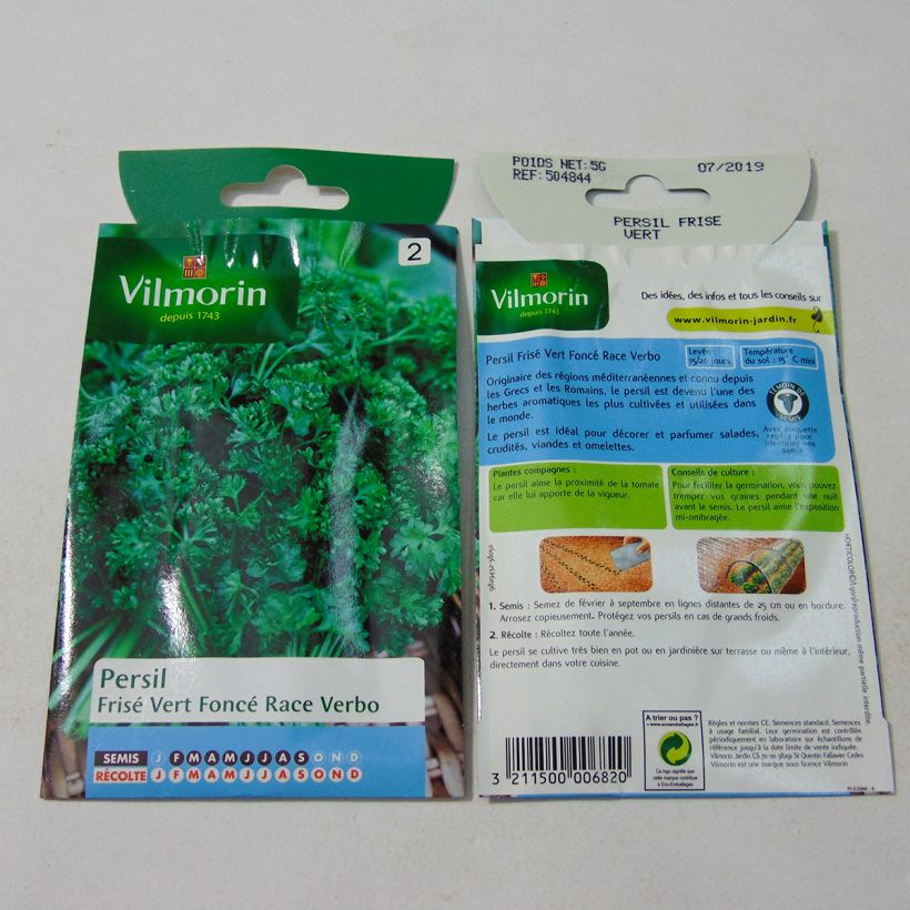 Example of Curly Parsley Verbo - Vilmorin Seeds per pack of 3000 seeds (5g) specimen as delivered