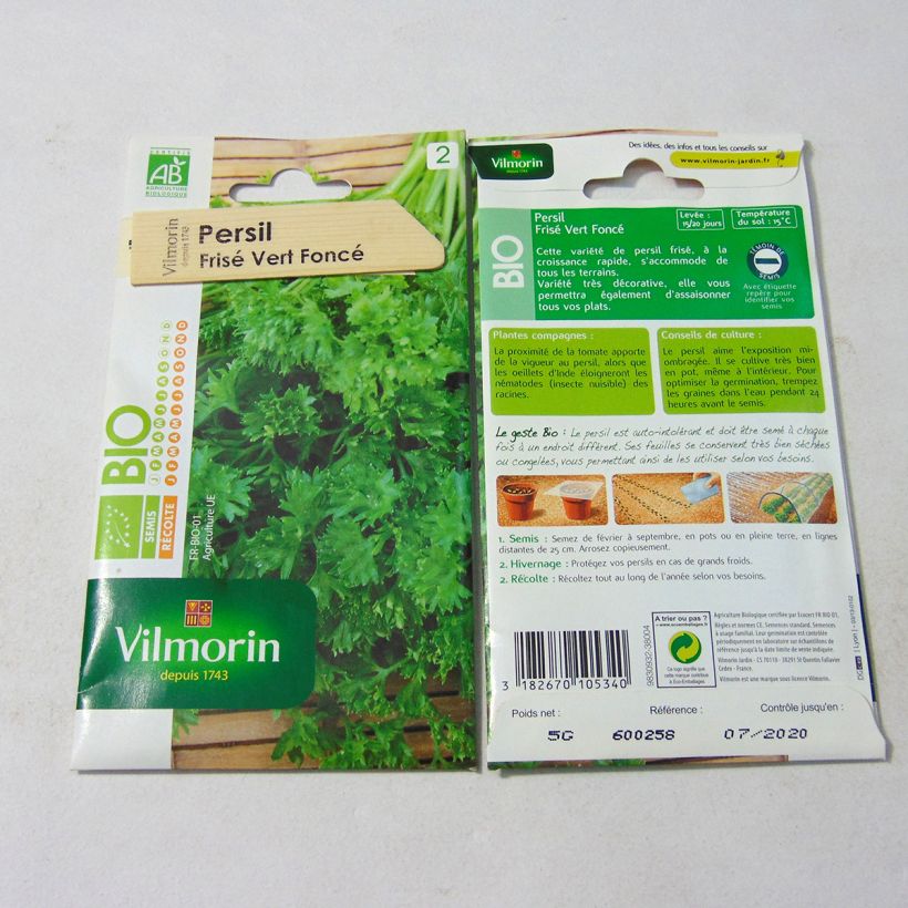 Example of Curly Parsley Organic  - Vilmorin Seeds per pack of 3000 seeds (5g) specimen as delivered