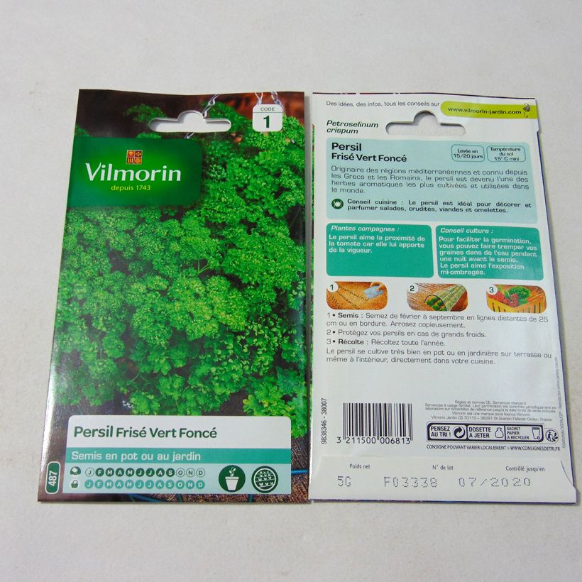 Example of Curly Parsley - Vilmorin Seeds per pack of 3000 seeds (5g) specimen as delivered