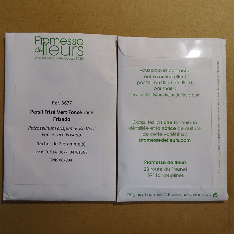 Example of Dark green curly Frisado parsley per pack of 1200 seeds (2g) specimen as delivered