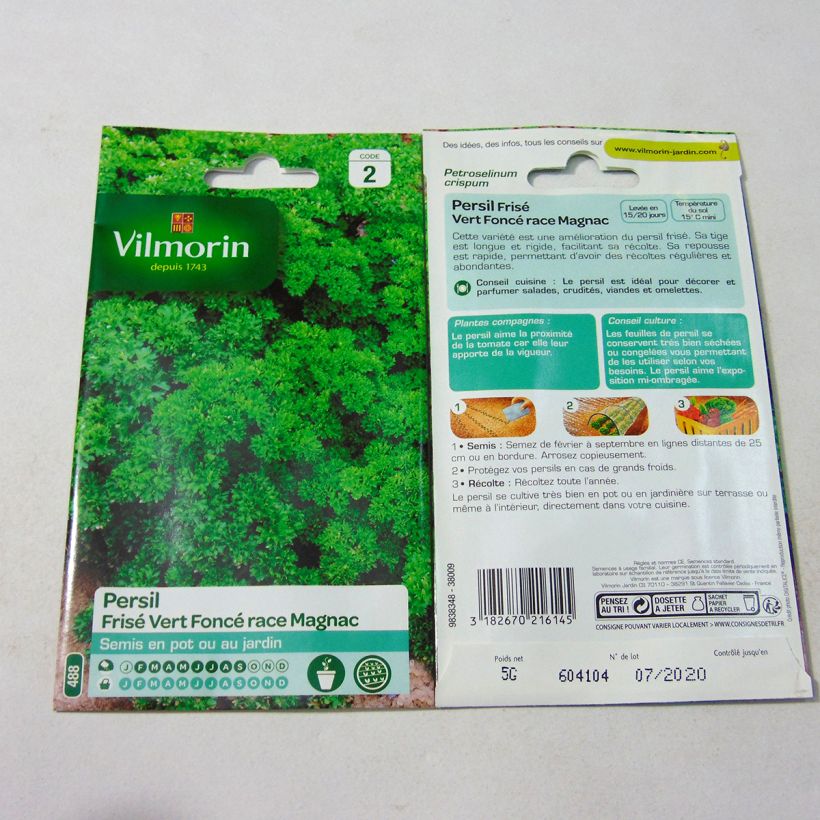 Example of Dark green curly parsley breed Magnac - Vilmorin seeds per pack of 3000 seeds (5g) specimen as delivered