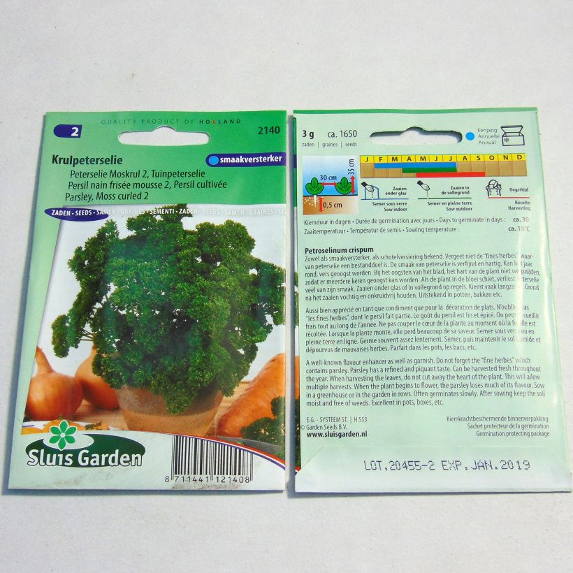 Example of Parsley Moss Curled 2 per pack of 1650 seeds (3g) specimen as delivered