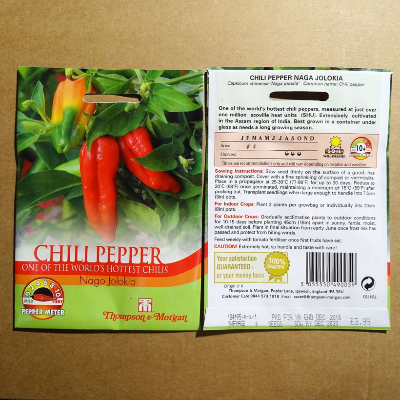 Example of Chilli Pepper Fuego F1 specimen as delivered