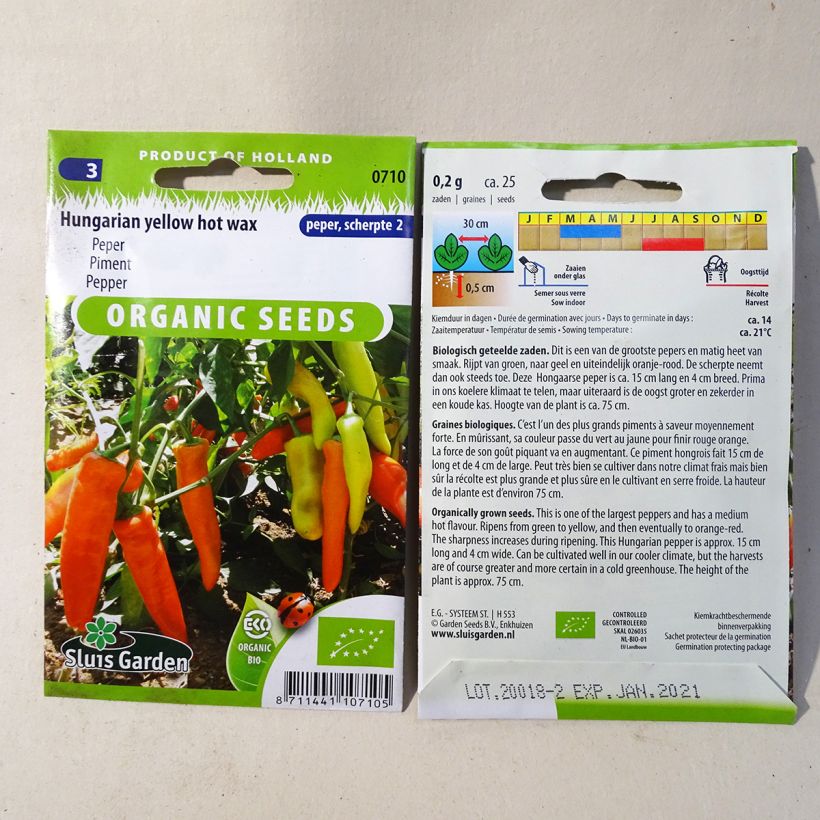 Example of Chilli Pepper Hungarian Hot Wax Organic per pack of 25 seeds (0.2g) specimen as delivered