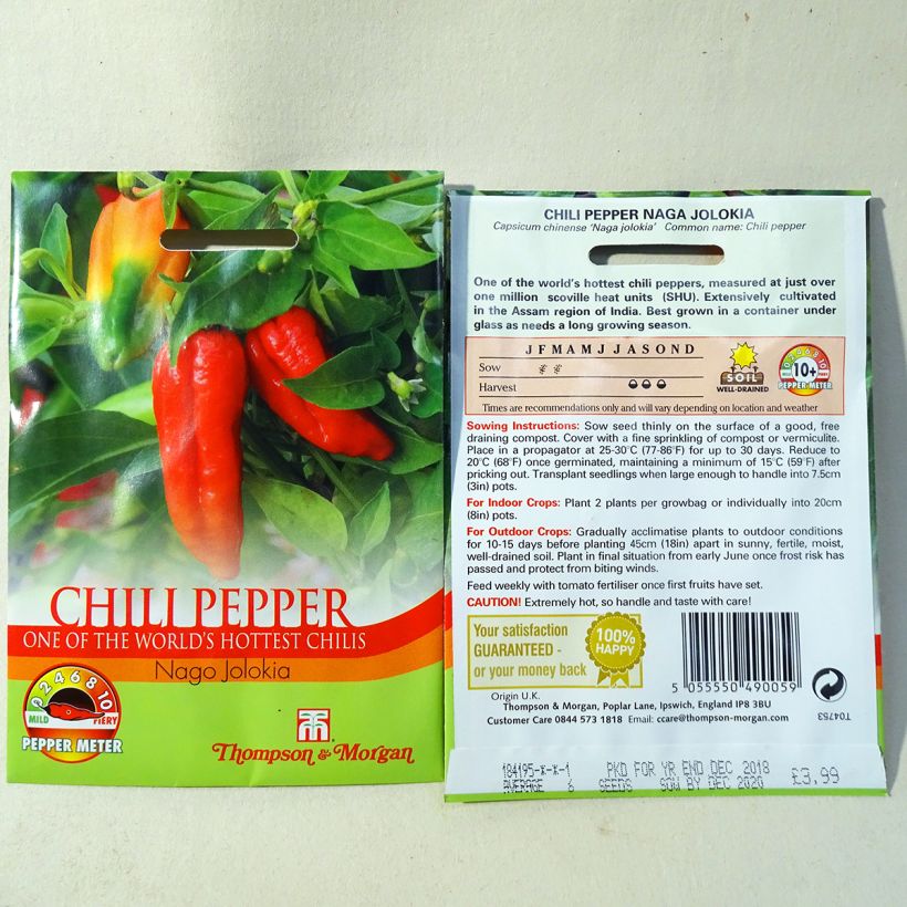 Example of Pepper Naga Jolokia - Capsicum annuum specimen as delivered