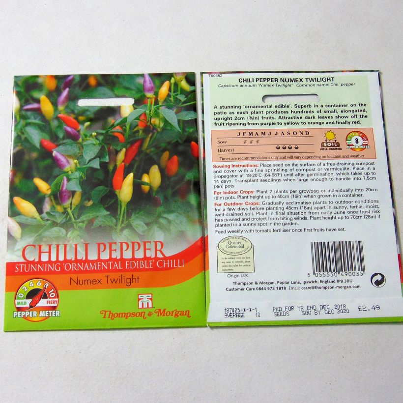 Example of Pepper Numex Twilight - Capsicum annuum per pack of 10 seeds specimen as delivered