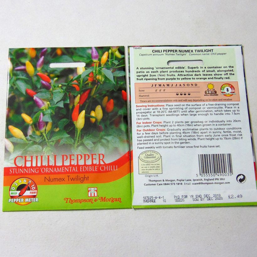 Example of Pepper Numex Twilight - Capsicum annuum specimen as delivered